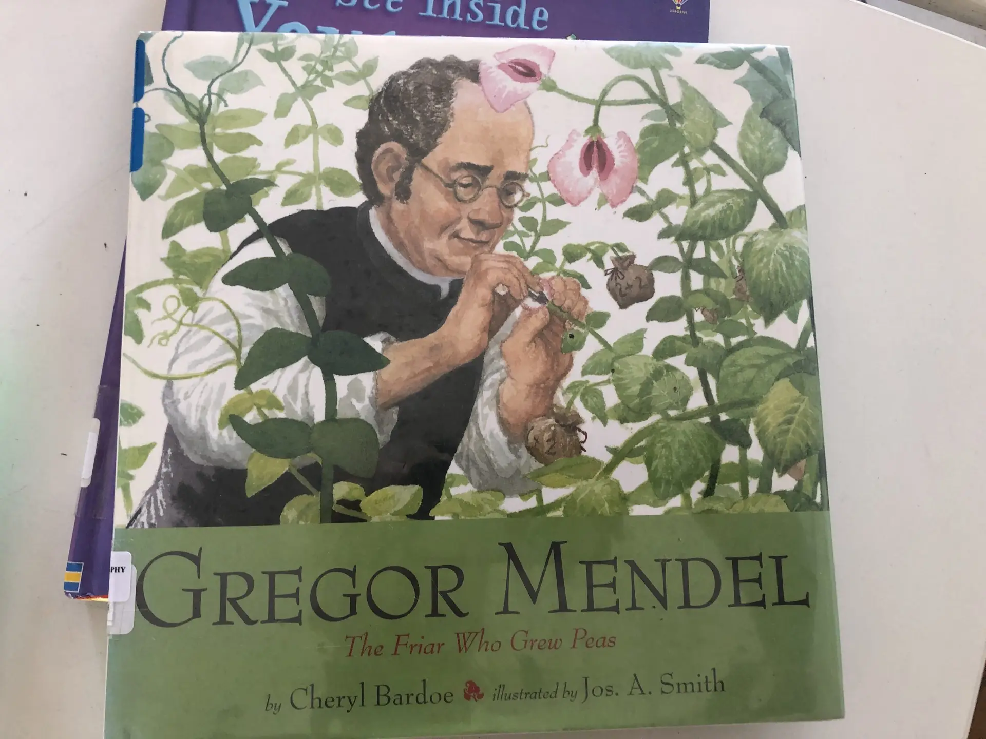 The biography of Gregor Mendel is a great opportunity for students to make connections between literature and scientific concepts.
